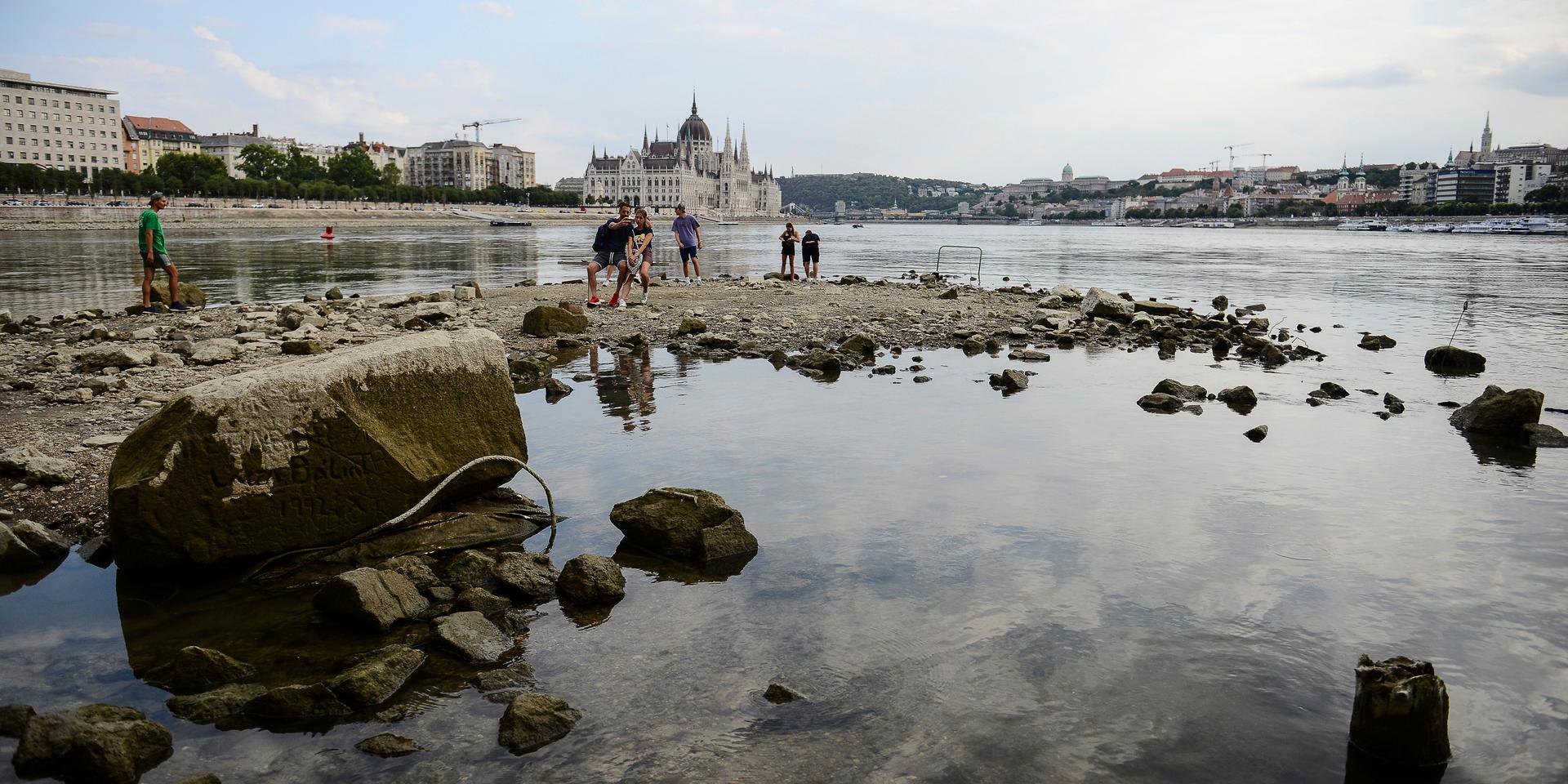 Uttorkade flodbanker utefter Donau i Budapest, Ungern.
