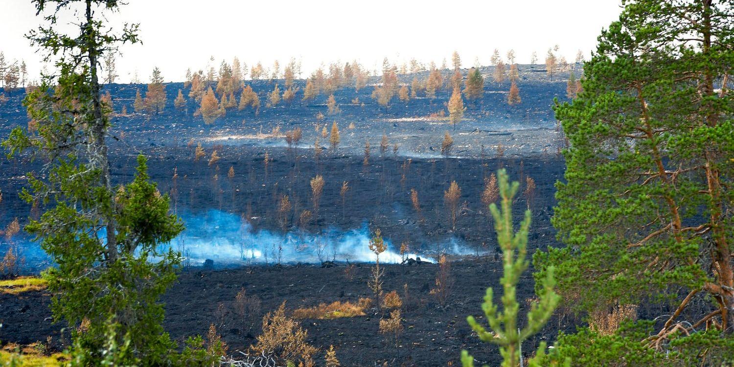 Brandhärjade Älvdalens skjutfält vid Trängslet.