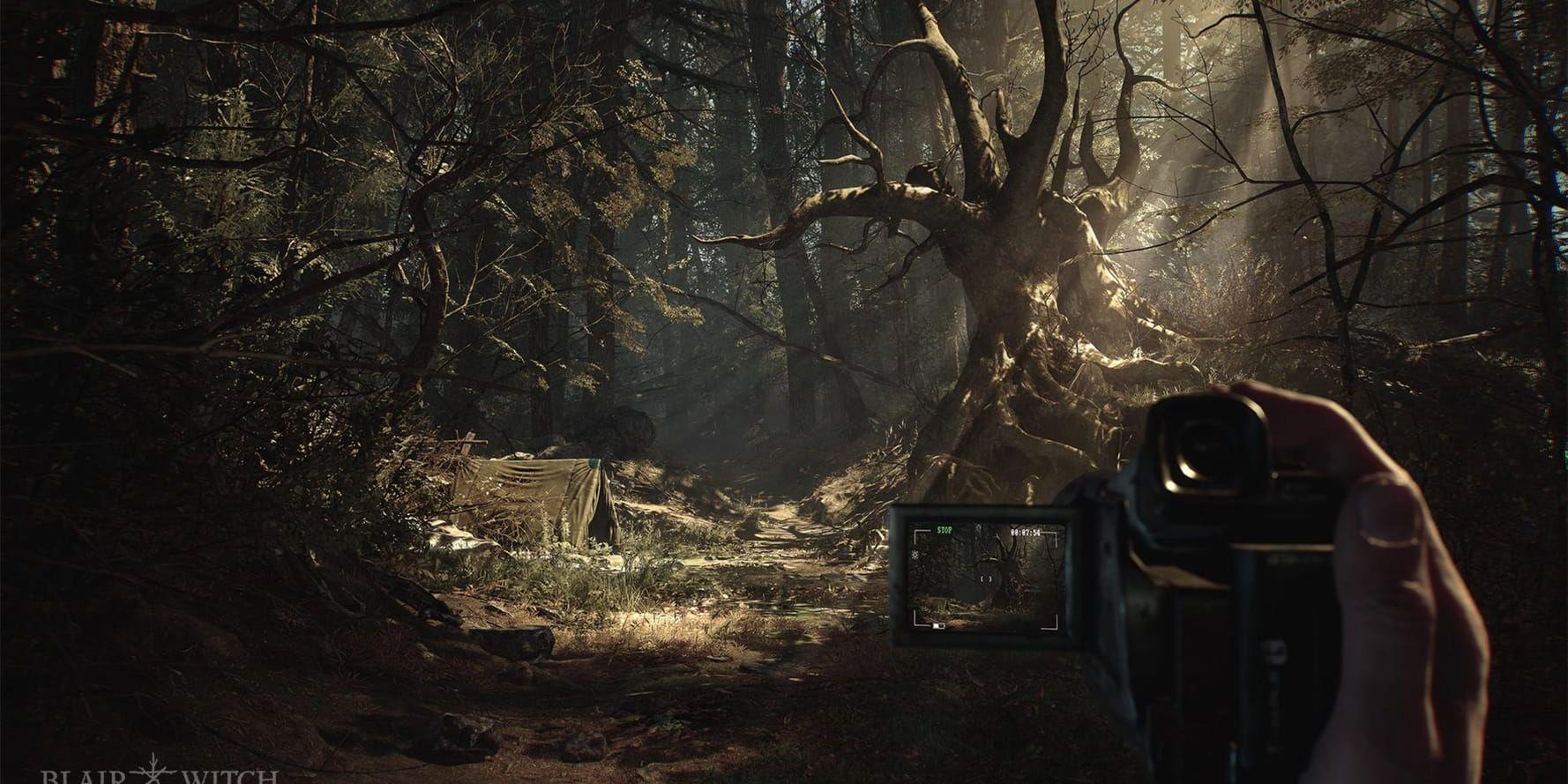 "Blair witch" ser ut att bli ett läskigt spel som utspelar sig i en skog. Pressbild.