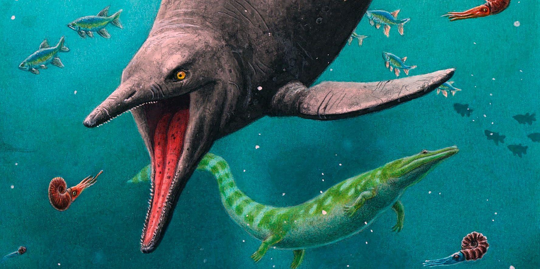 Rekonstruktion av den tidigaste ichthyosaurien och det 250 miljoner år gamla ekosystemet som paleontologerna hittat på Spetsbergen, Svalbard.