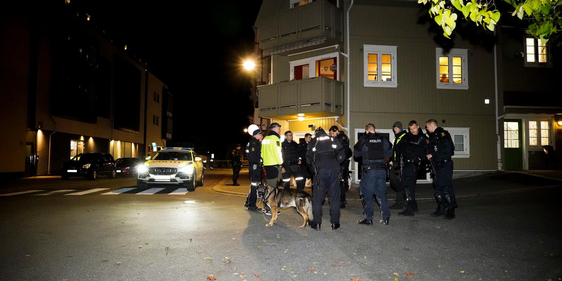 Situationen i Kongsberg beskrivs som svår att få en överblick av.