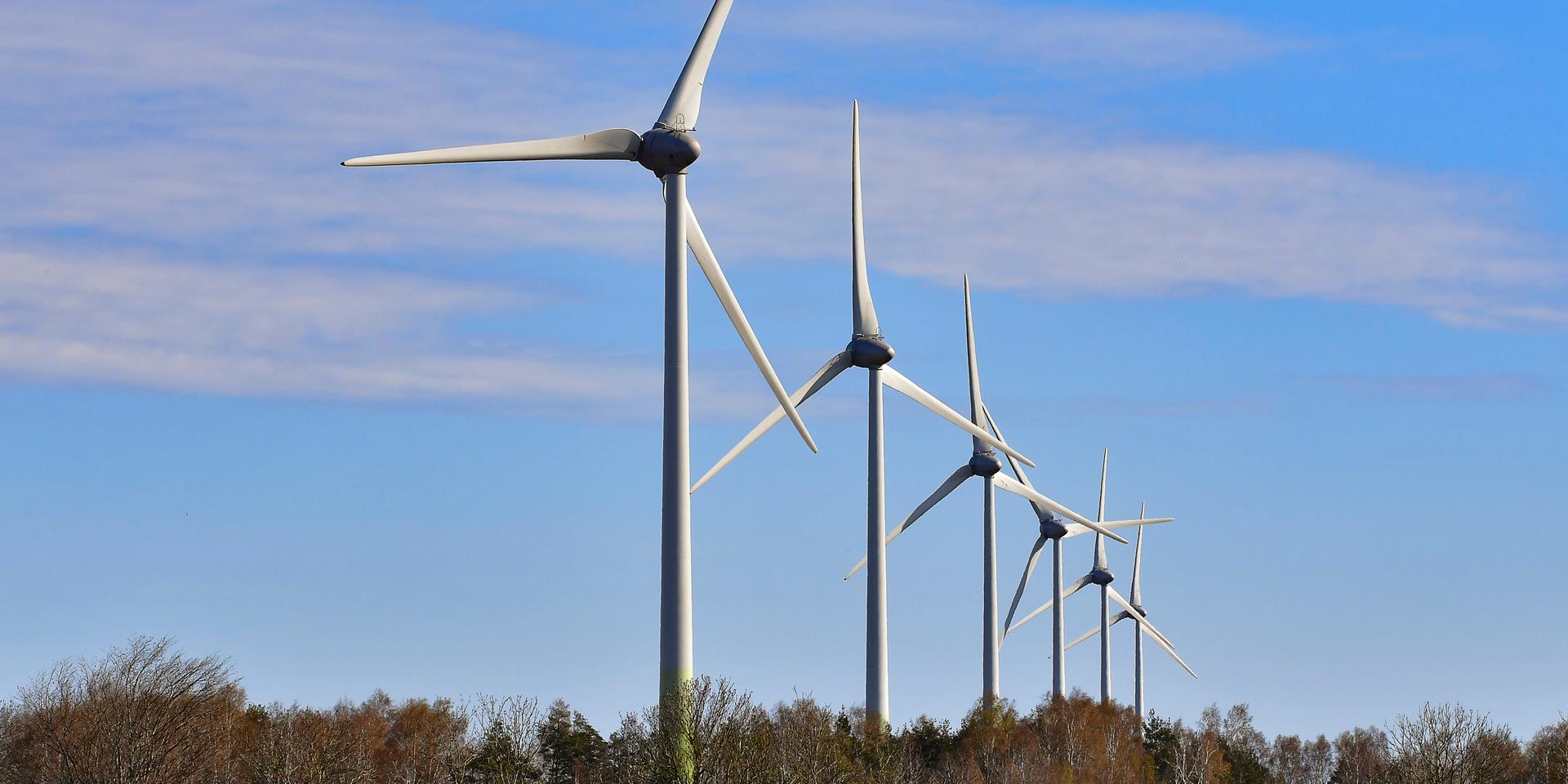 ”Ett avgörande hinder i utbyggnaden av elproduktion är att hälften av alla vindkraftverk stoppas av det kommunala vetot innan miljöprövningen – som utreder påverkan på djur, natur och människor – har inletts.”