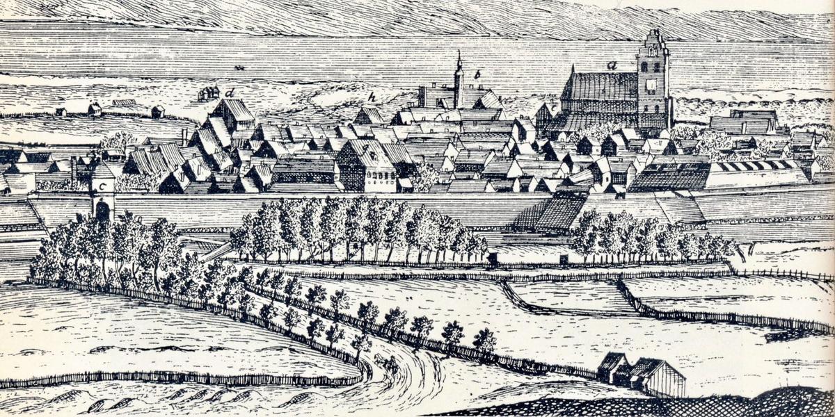 1700-talets Halmstad – fattigt, stinkande och fullt av råttor